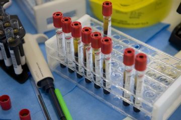 Calendario dei prelievi del sangue anno 2026